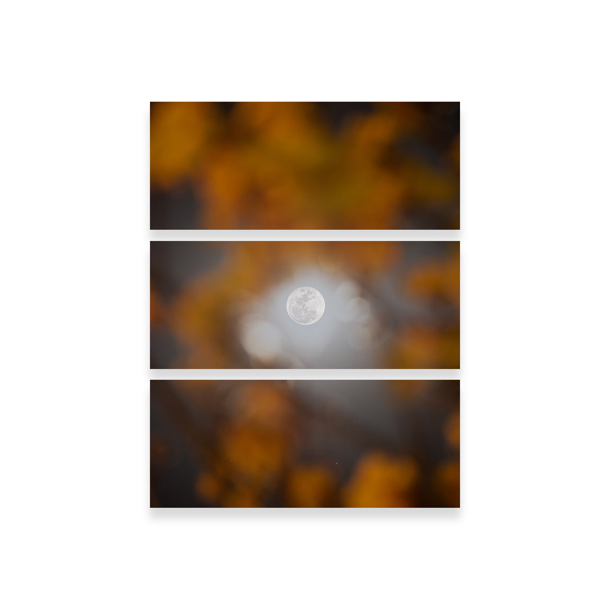 Selene and Yellow Ipê Wall Art