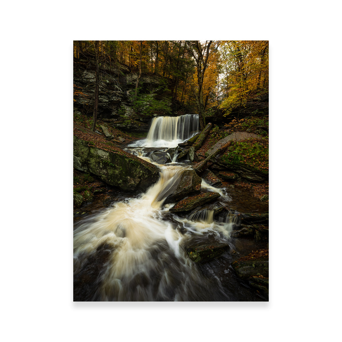 Serenity Now Wall Art