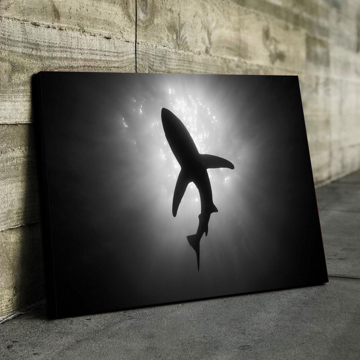 Shark Silhouette Canvas Set