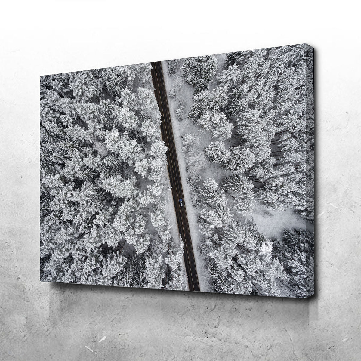 Snowy Road Wall Art