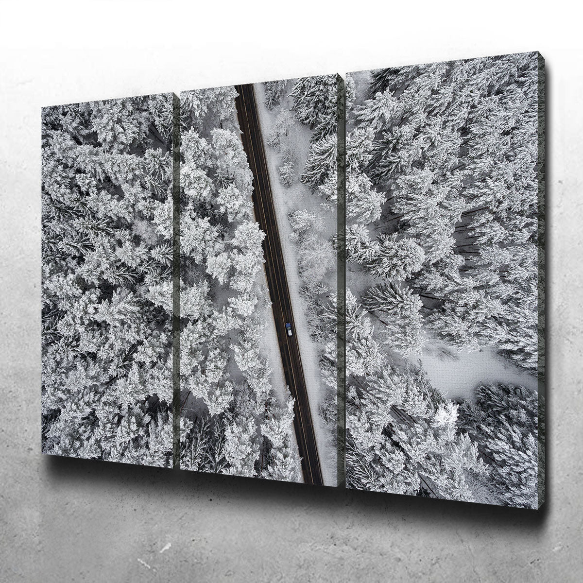 Snowy Road Wall Art