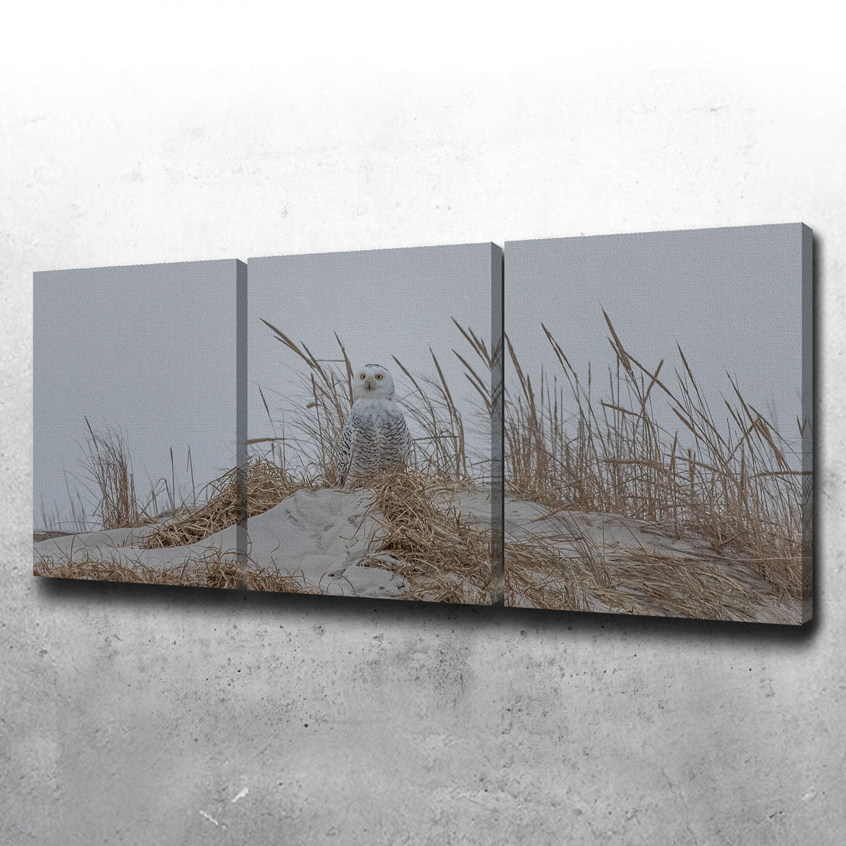 Snowy Owl Wall Art