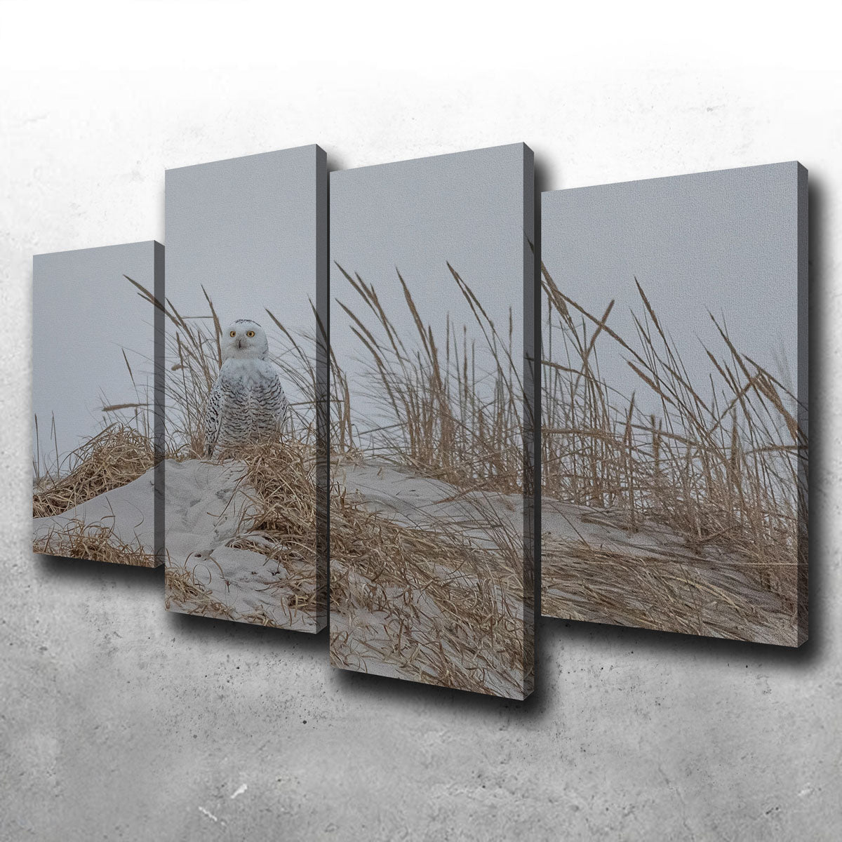 Snowy Owl Wall Art