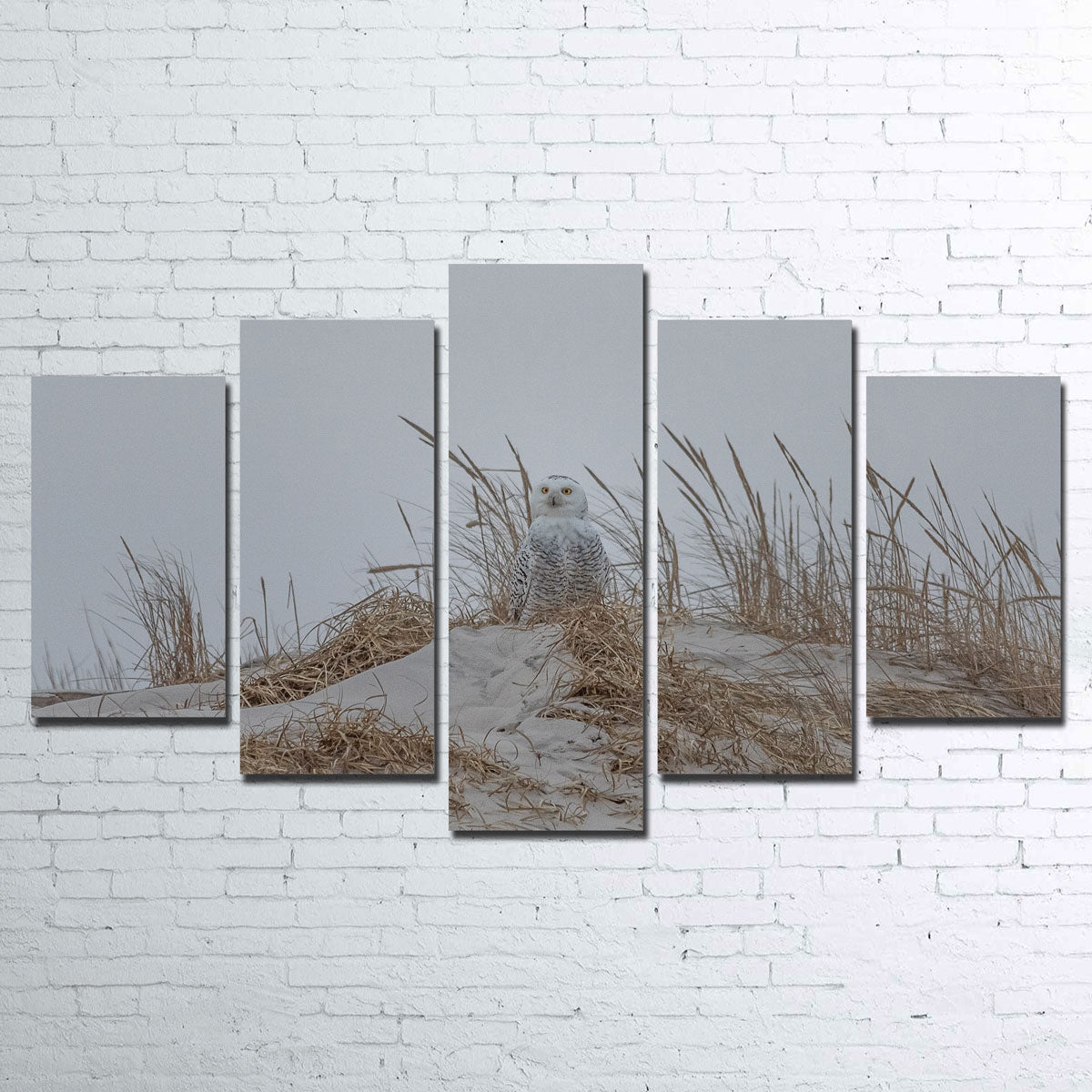 Snowy Owl Wall Art