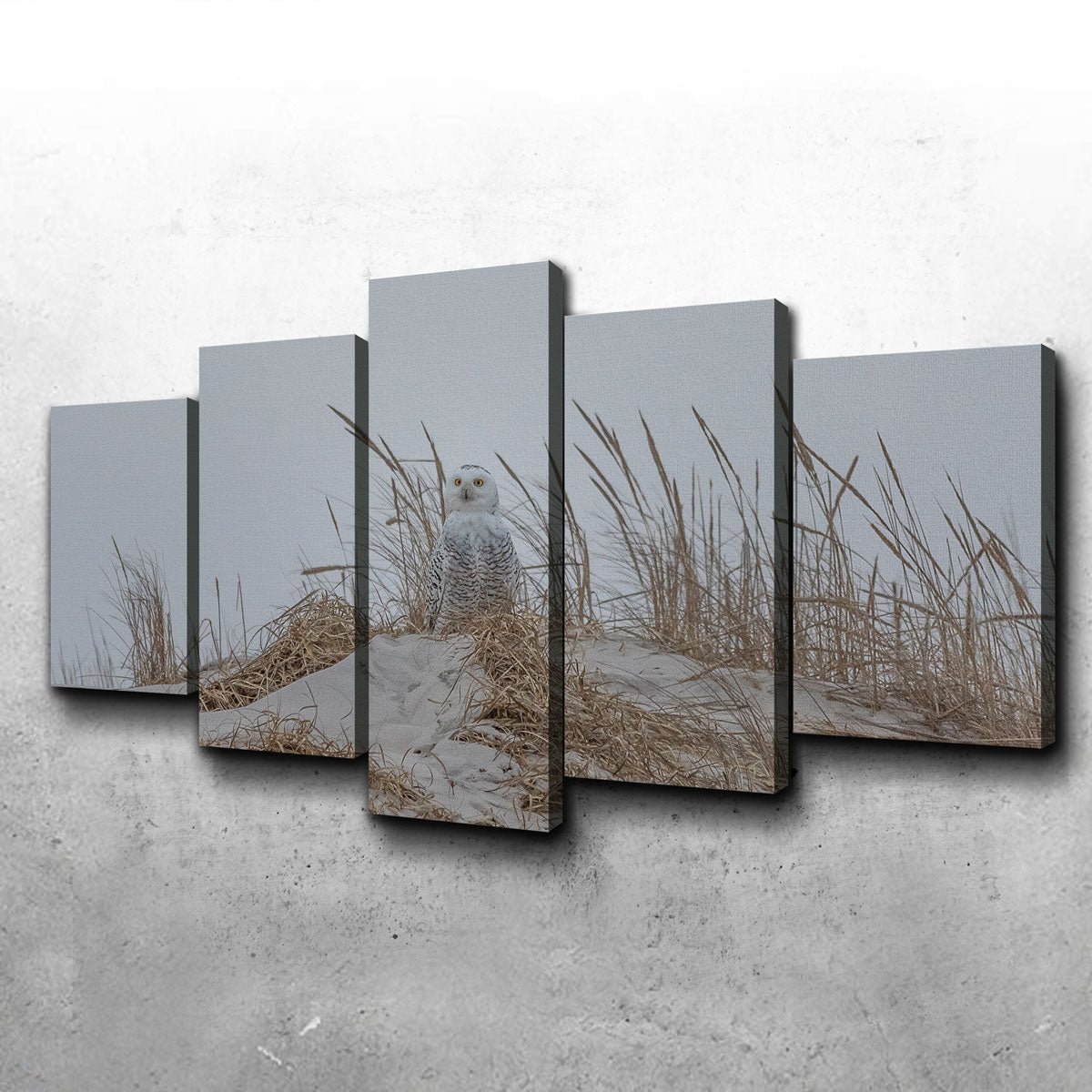 Snowy Owl Wall Art