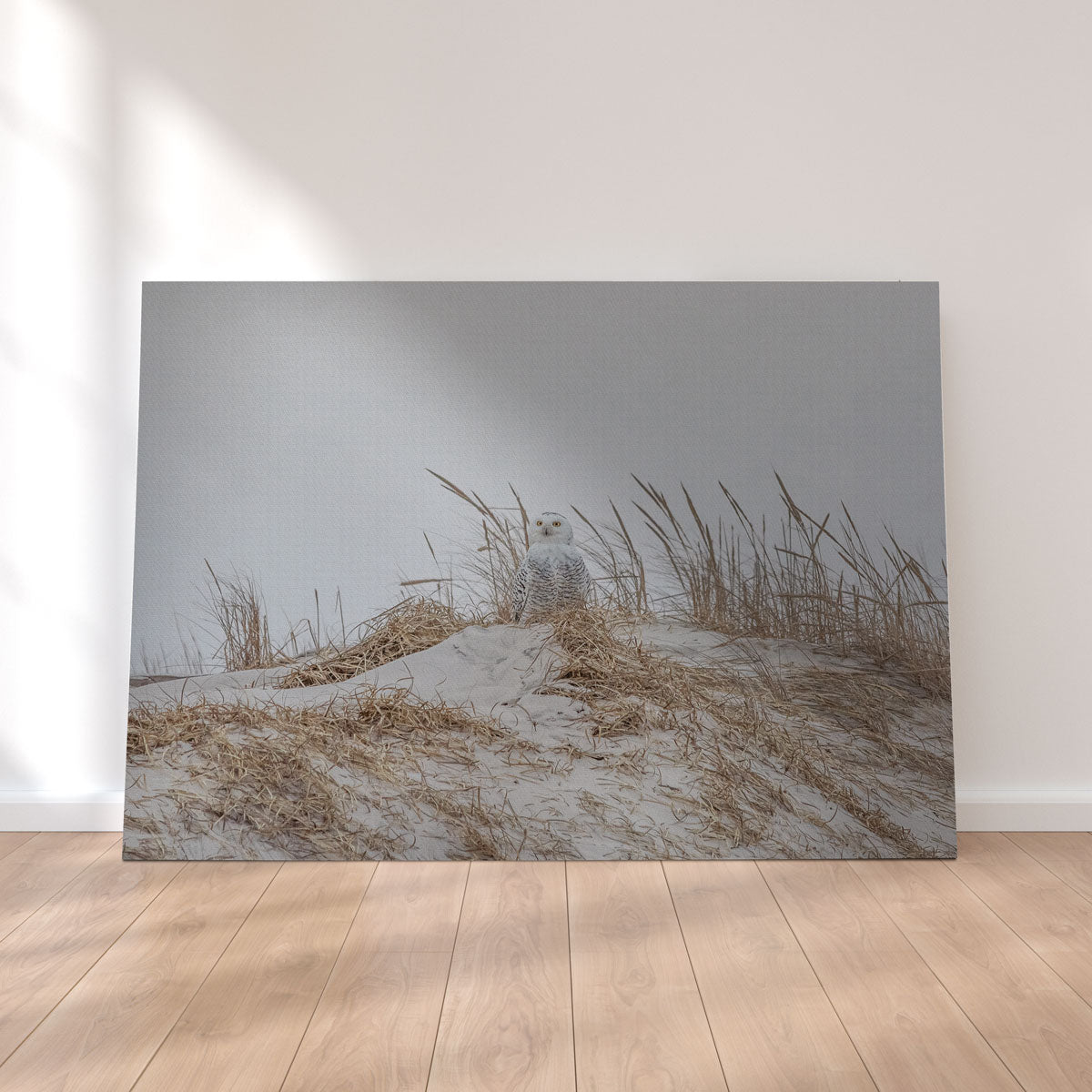 Snowy Owl Wall Art