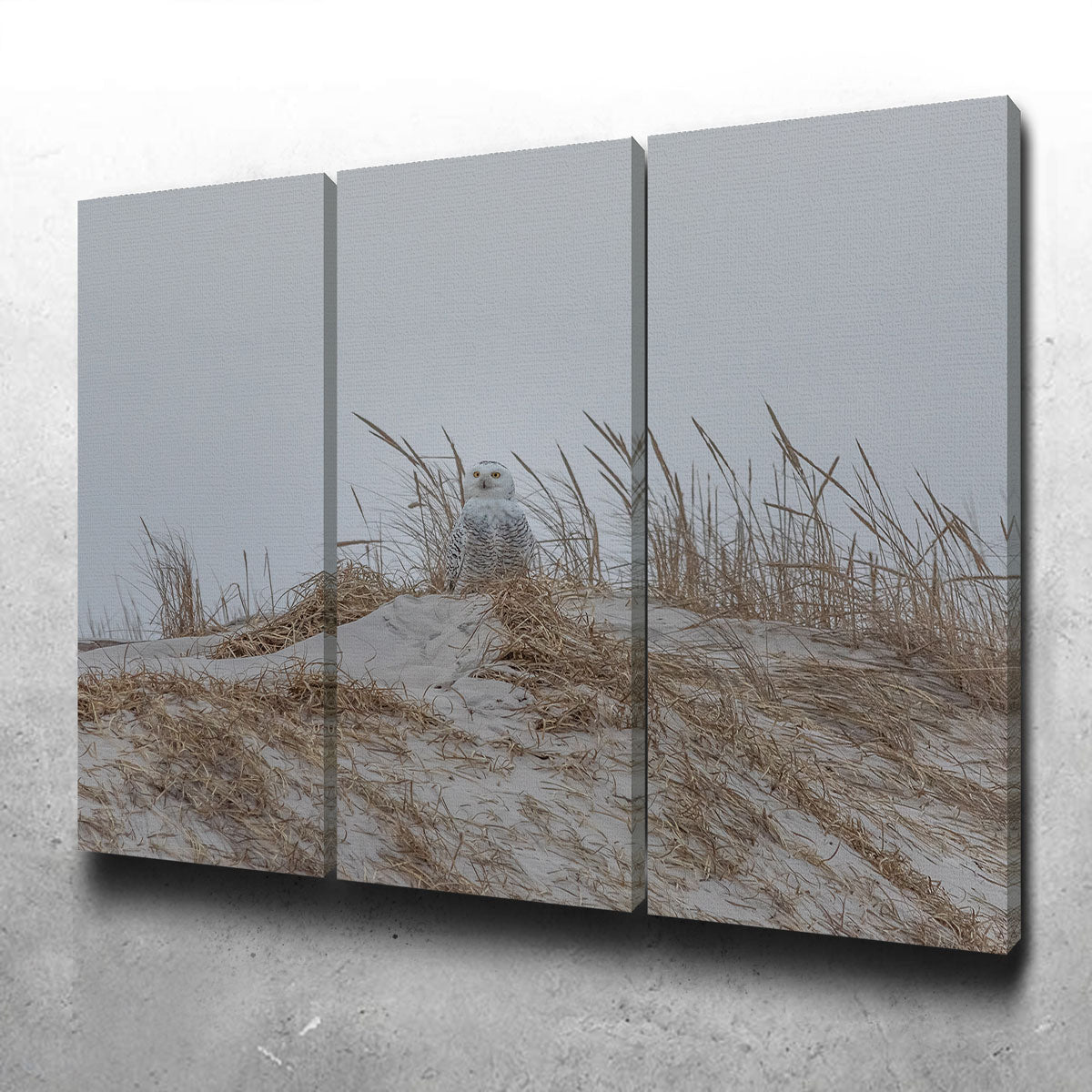 Snowy Owl Wall Art