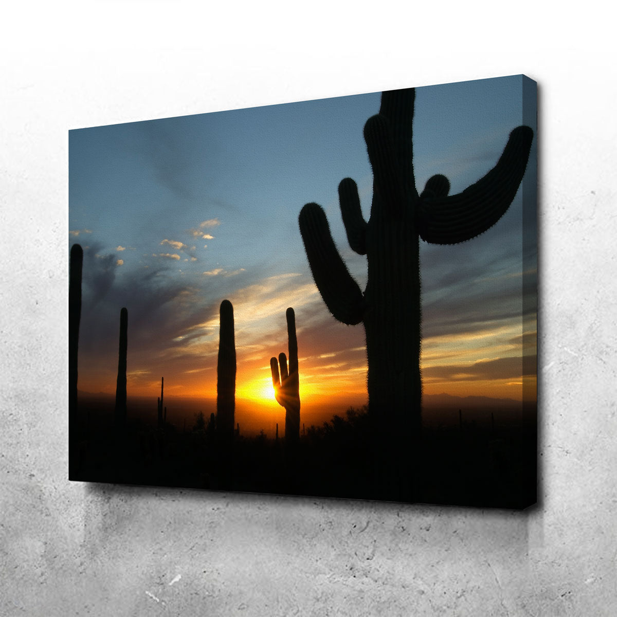 Sonoran Desert Sunset Wall Art