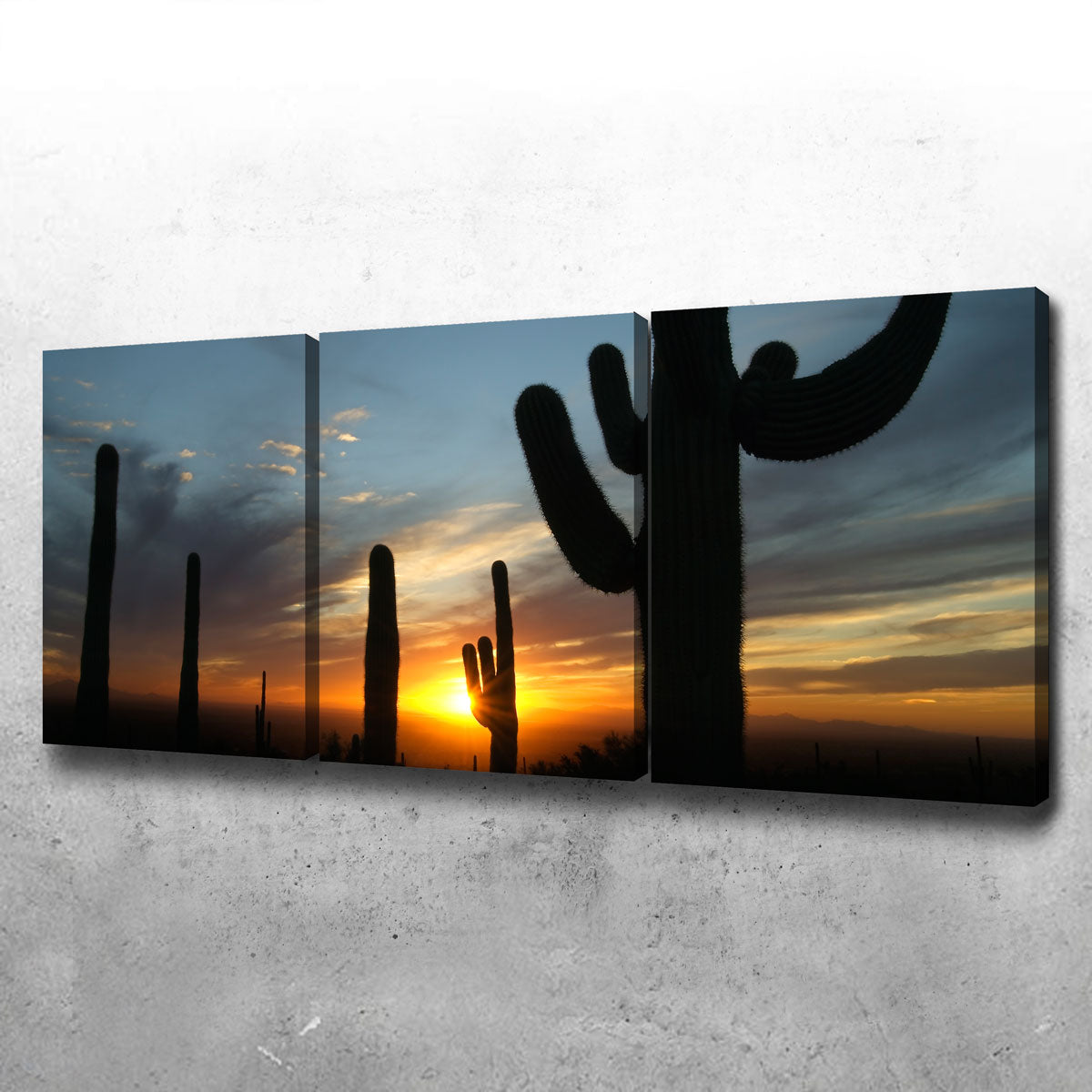 Sonoran Desert Sunset Wall Art