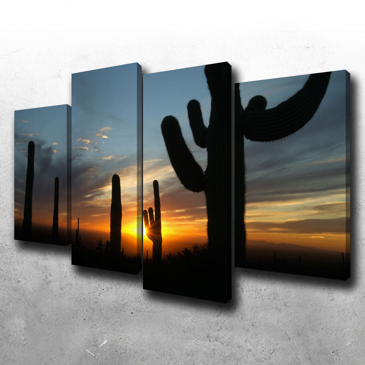 Sonoran Desert Sunset Wall Art