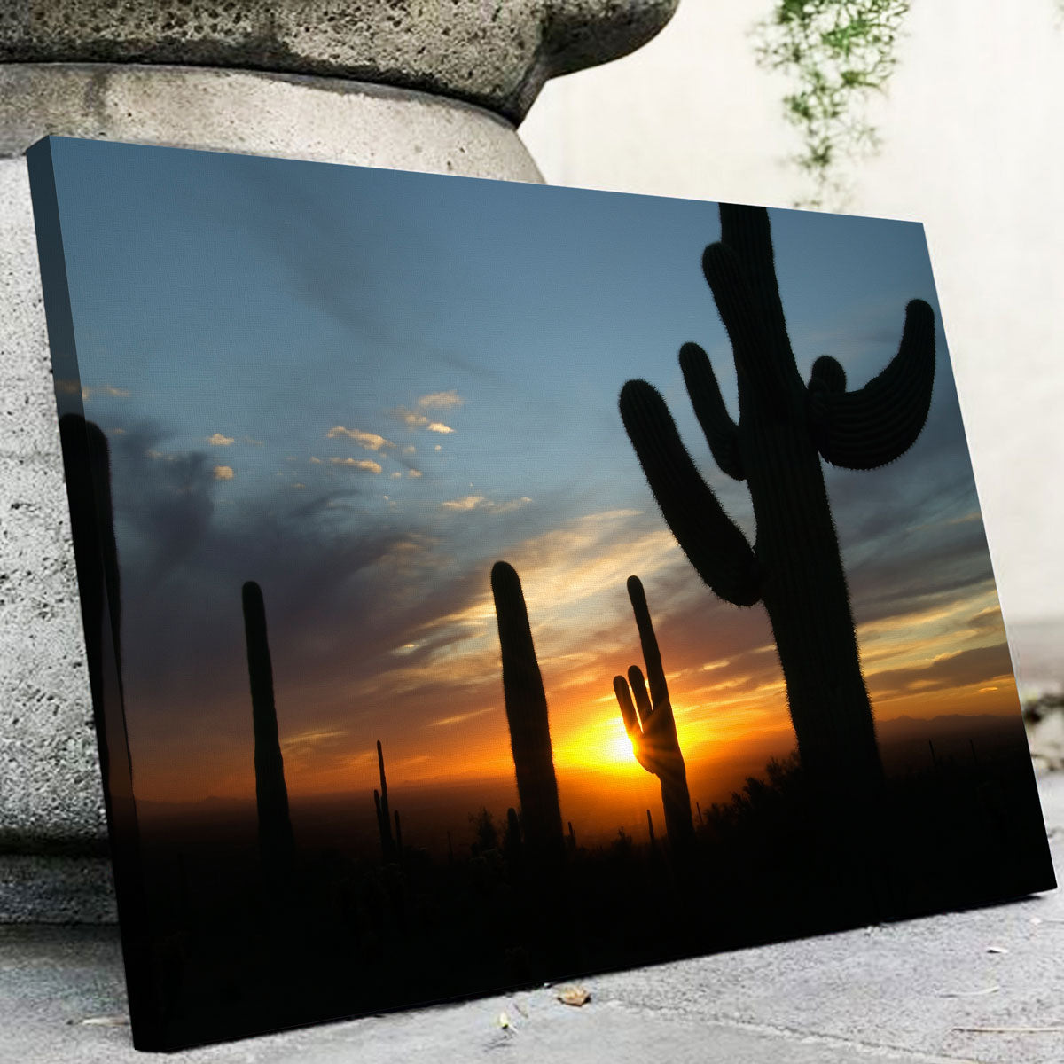 Sonoran Desert Sunset Wall Art