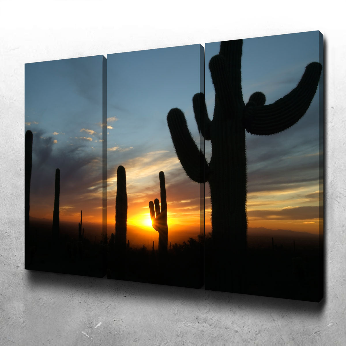 Sonoran Desert Sunset Wall Art