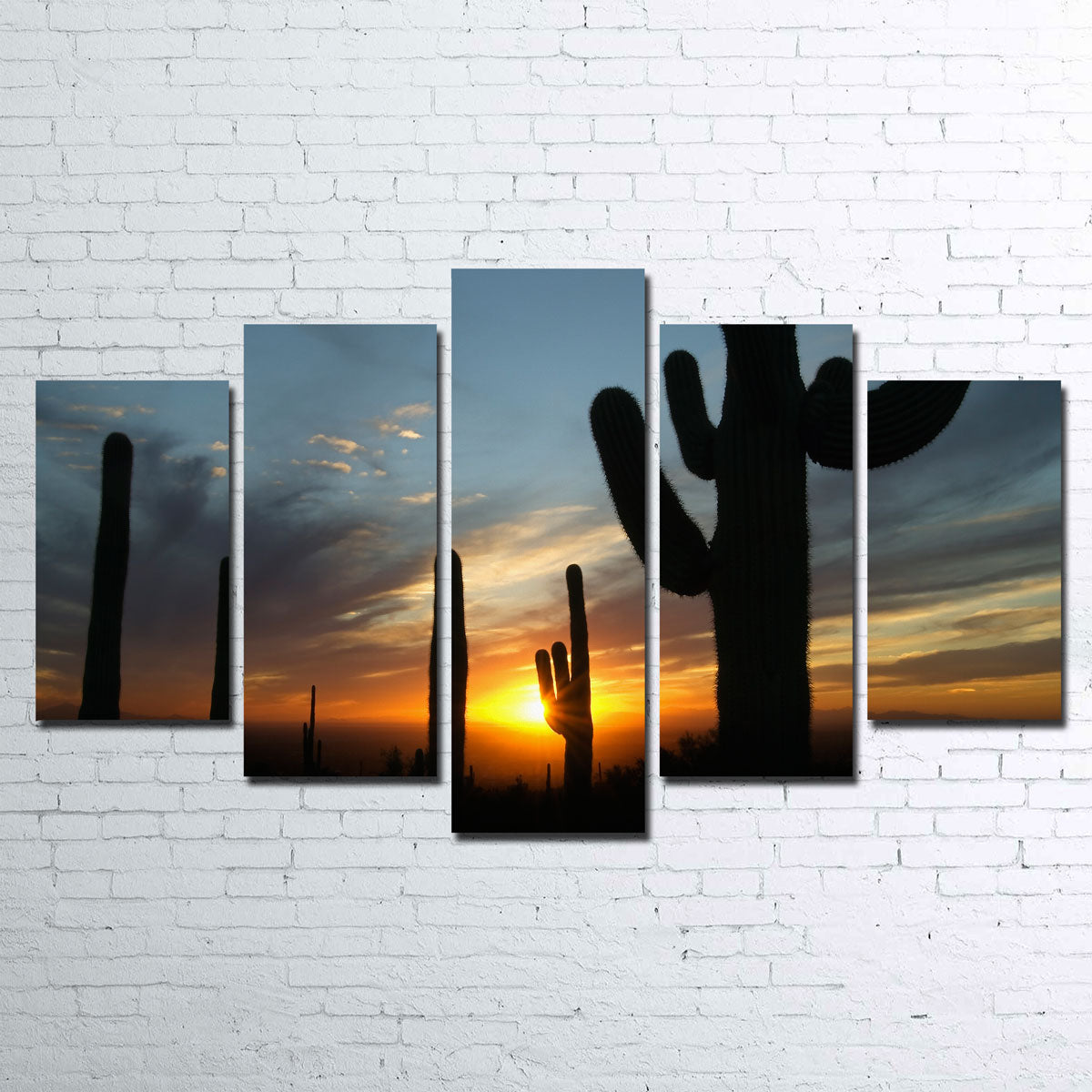 Sonoran Desert Sunset Wall Art