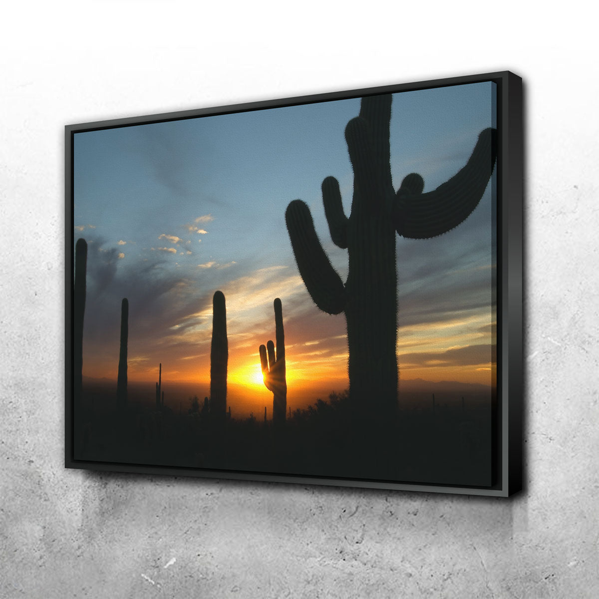 Sonoran Desert Sunset Wall Art
