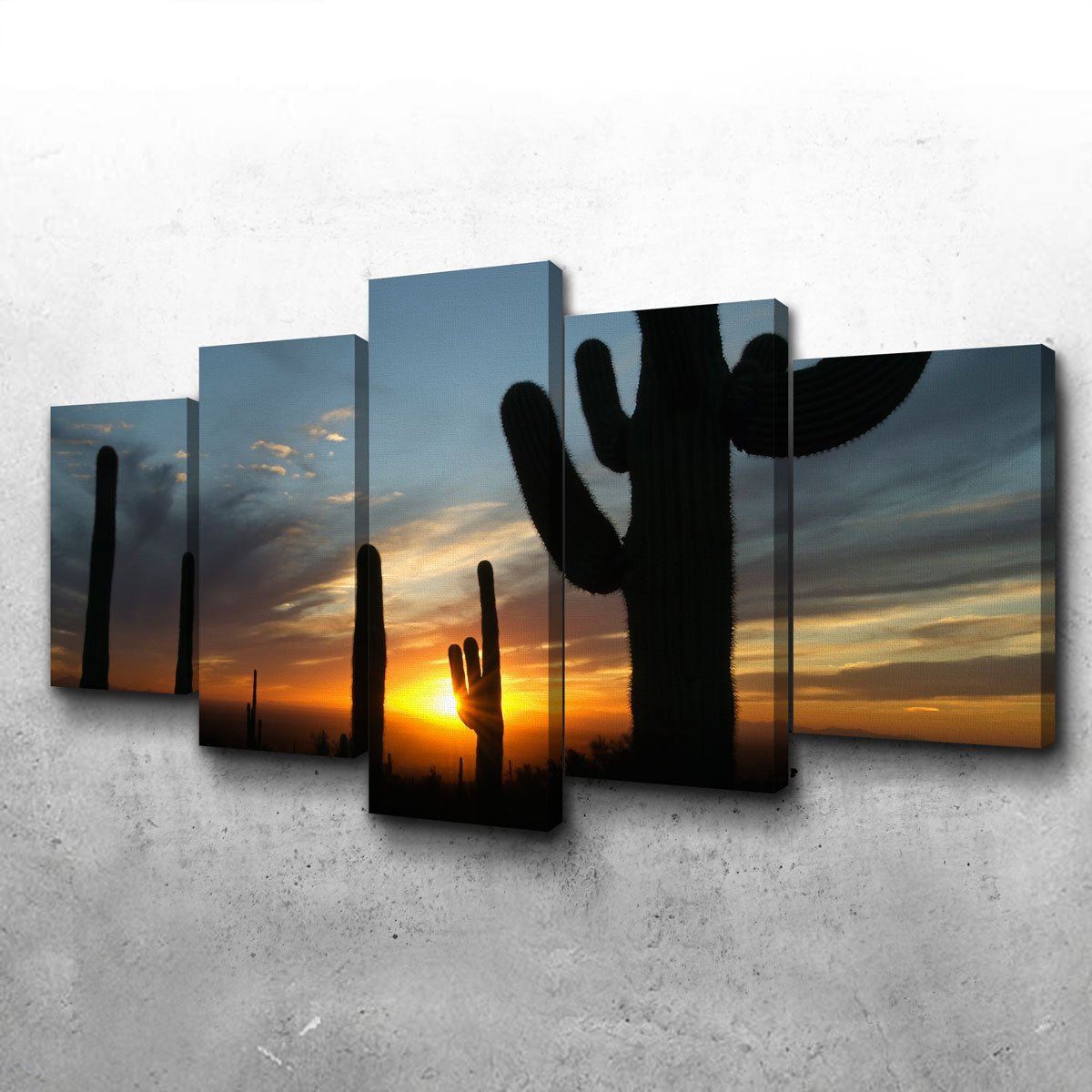 Sonoran Desert Sunset Wall Art