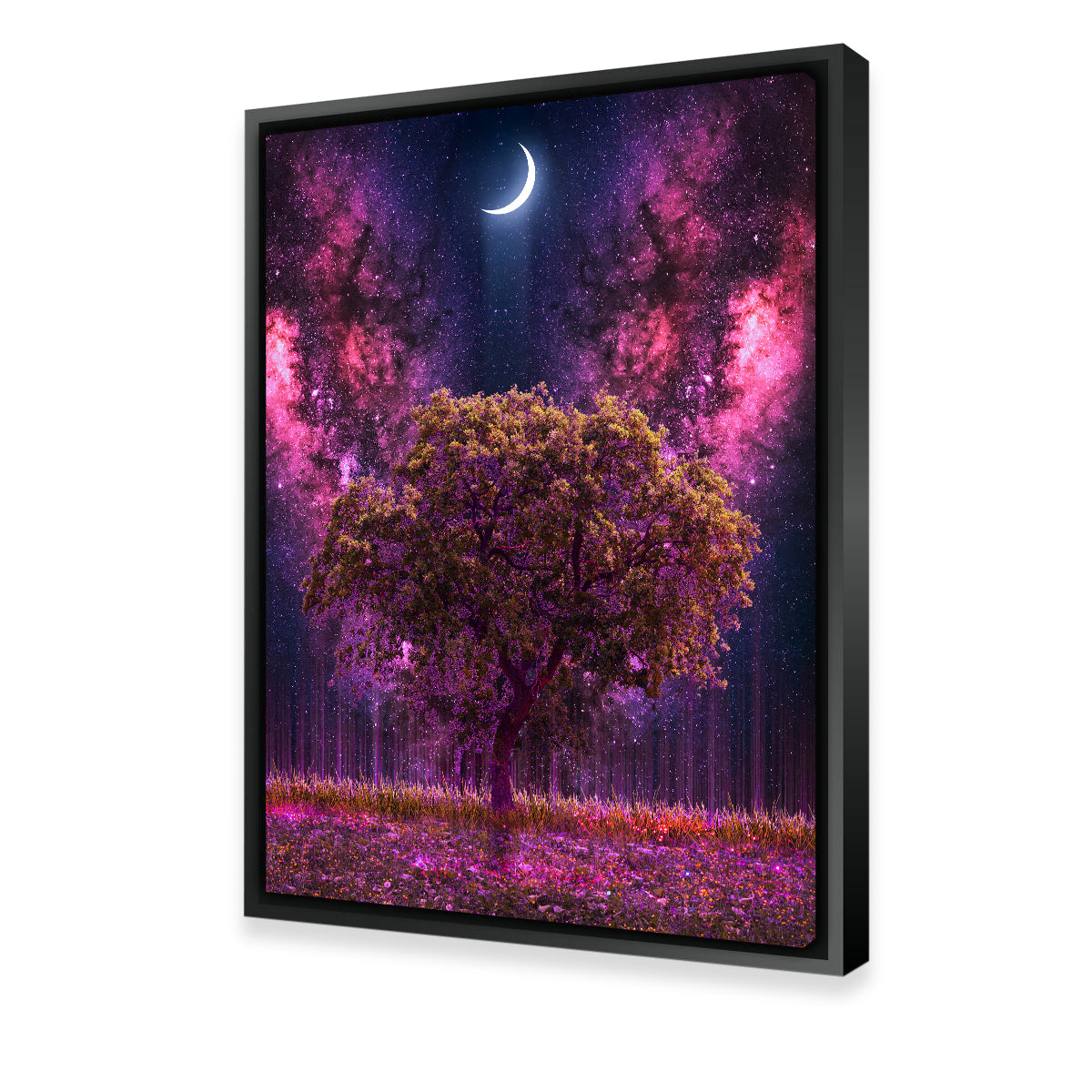 Space Ground Wall Art