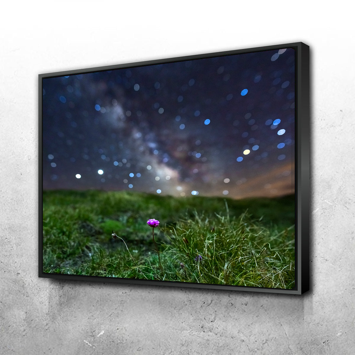 Star Studded Armérie Wall Art