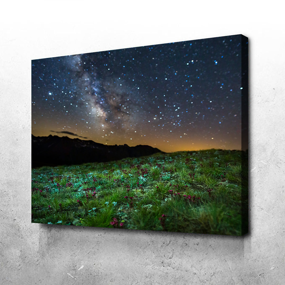 Star Studded Edelweiss and Joubarbe Wall Art