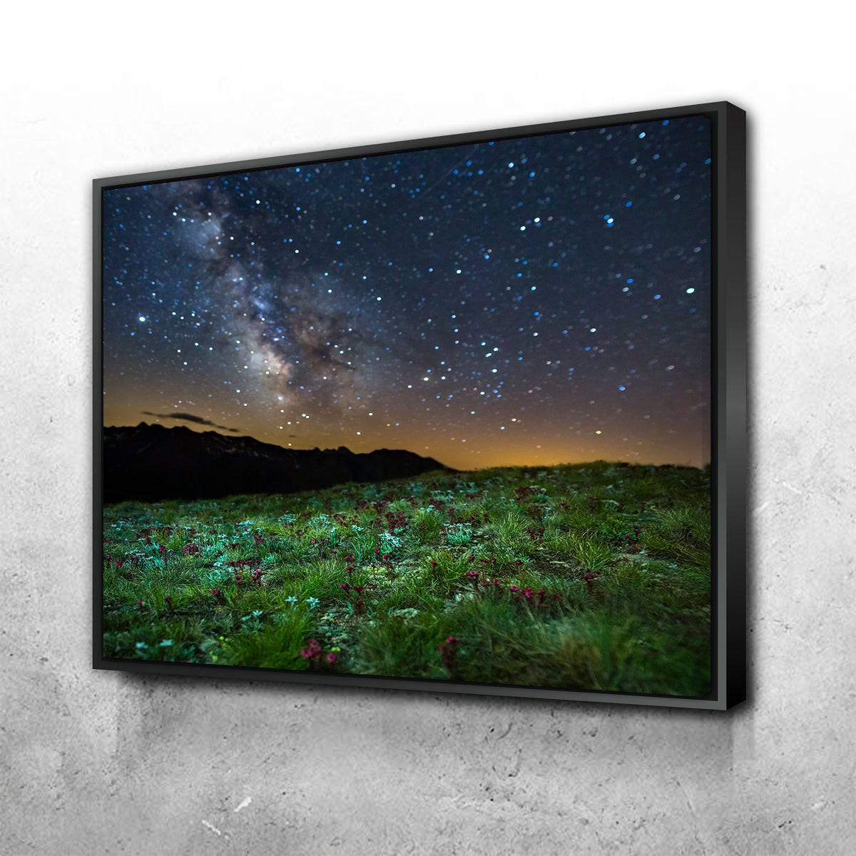 Star Studded Edelweiss and Joubarbe Wall Art