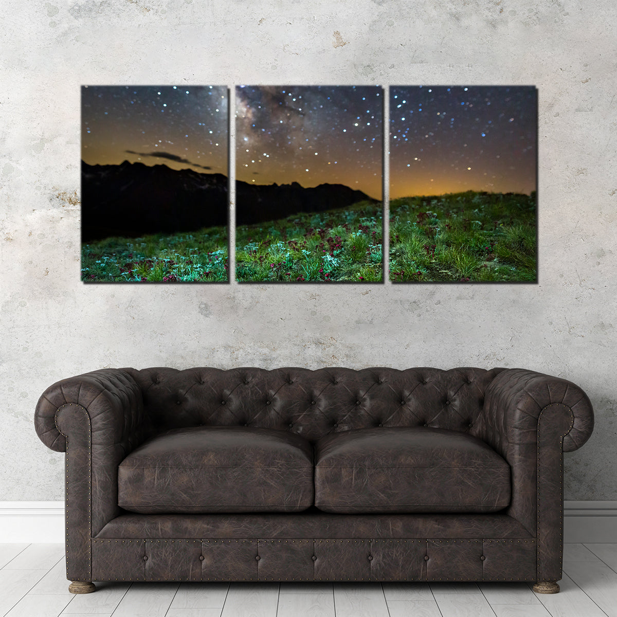 Star Studded Edelweiss and Joubarbe Wall Art