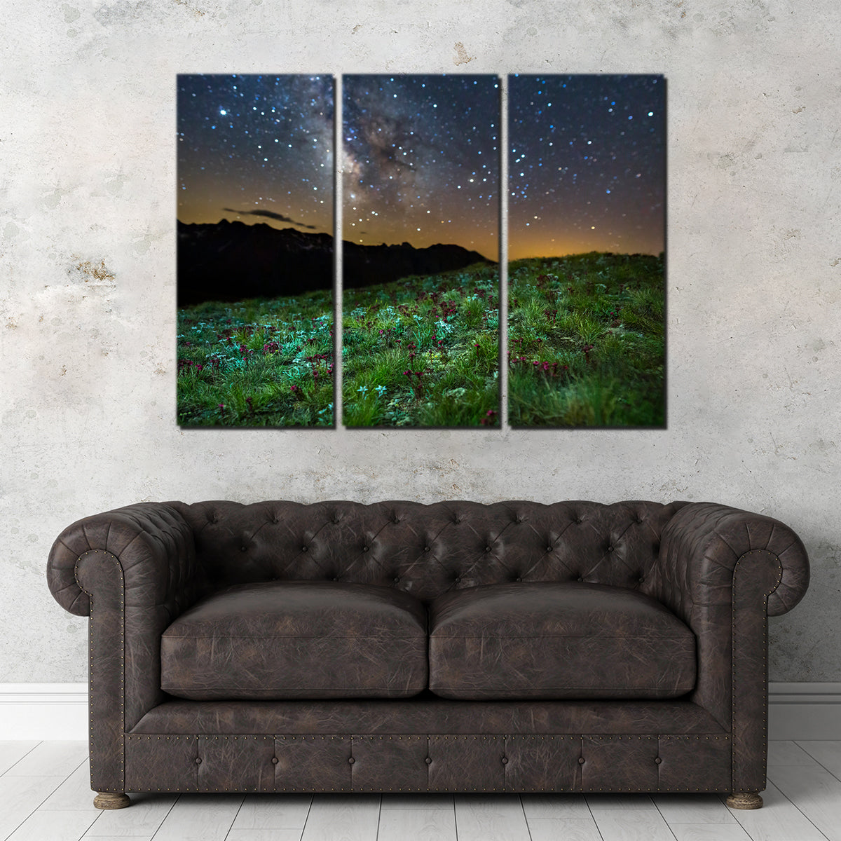 Star Studded Edelweiss and Joubarbe Wall Art