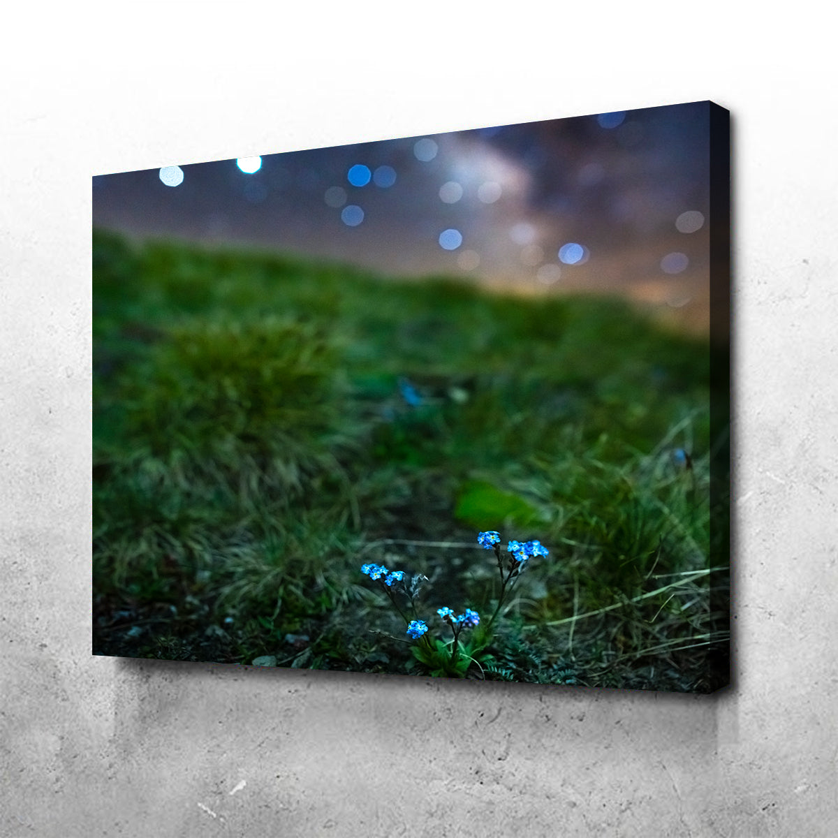 Star Studded Myosotis Wall Art
