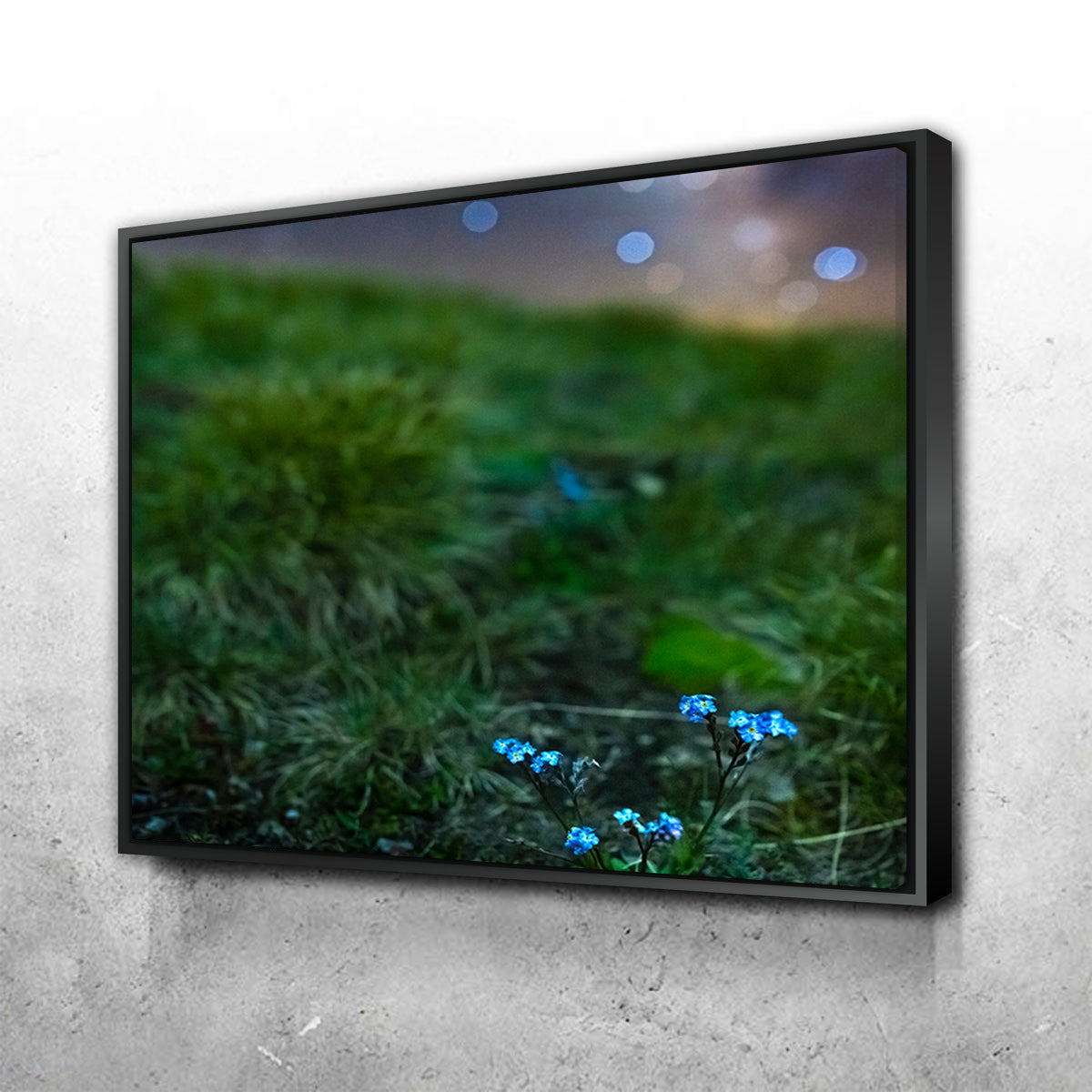 Star Studded Myosotis Wall Art