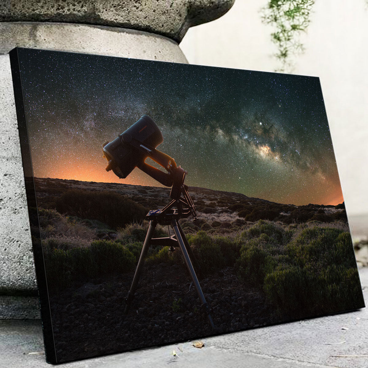 Stargazer Wall Art
