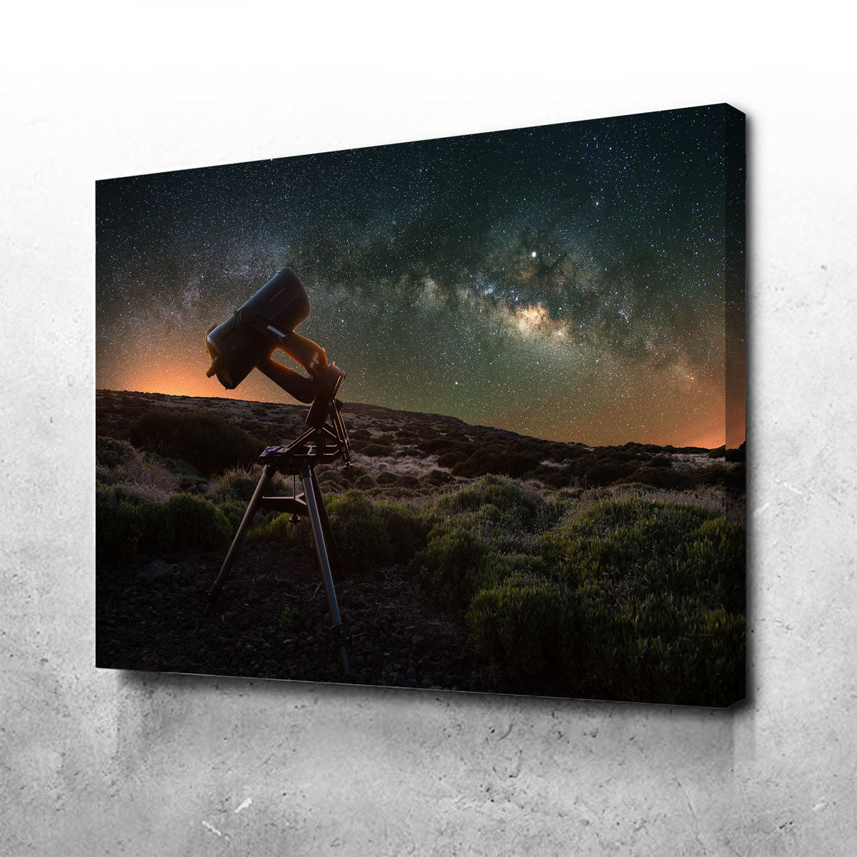 Stargazer Wall Art