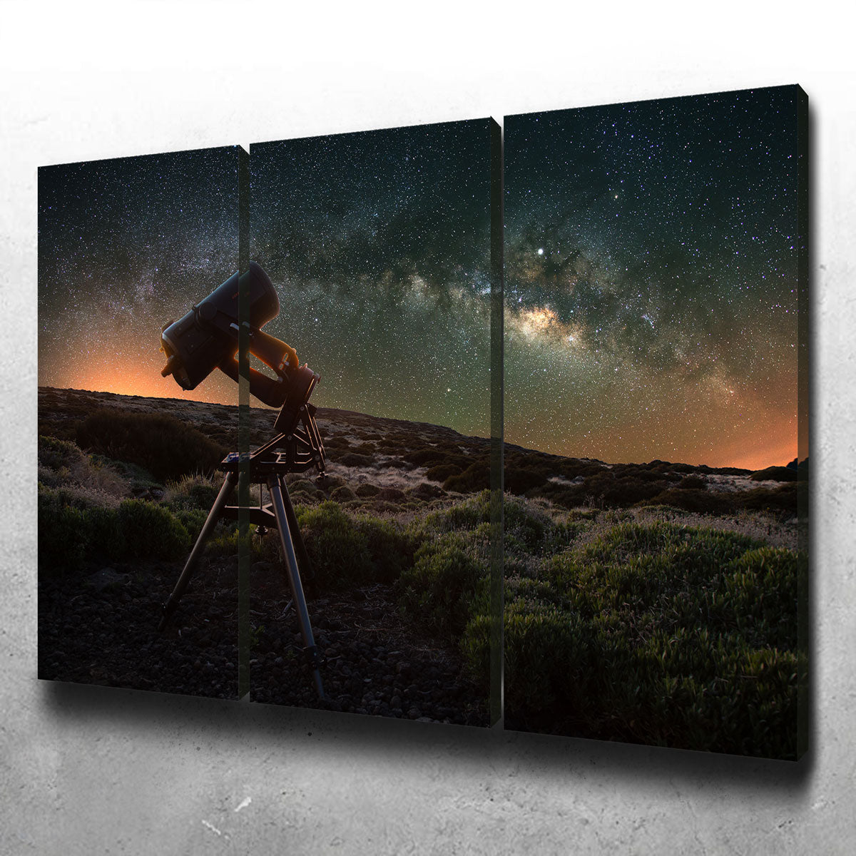 Stargazer Wall Art