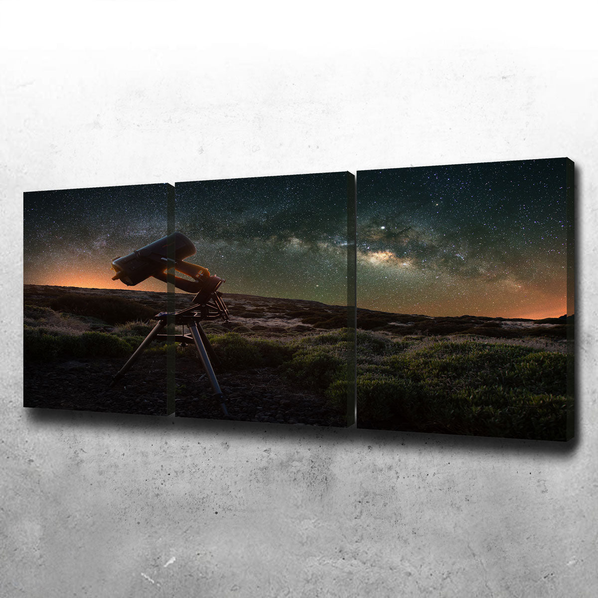 Stargazer Wall Art