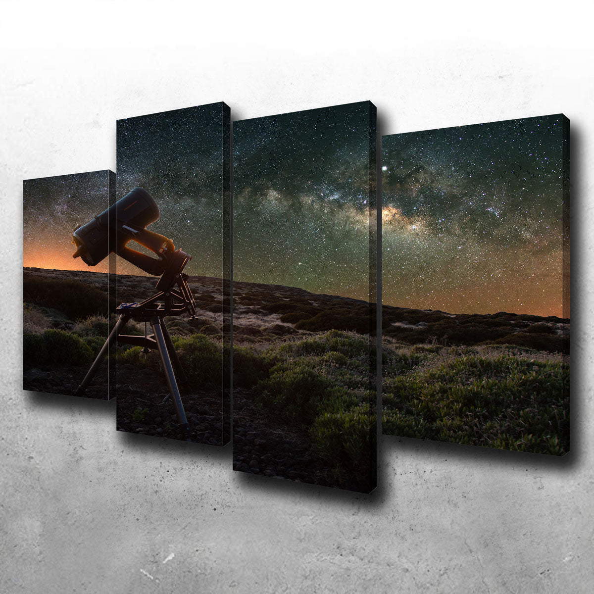 Stargazer Wall Art
