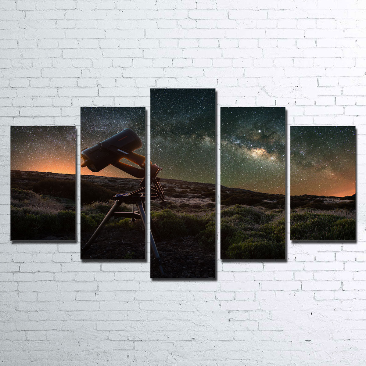 Stargazer Wall Art