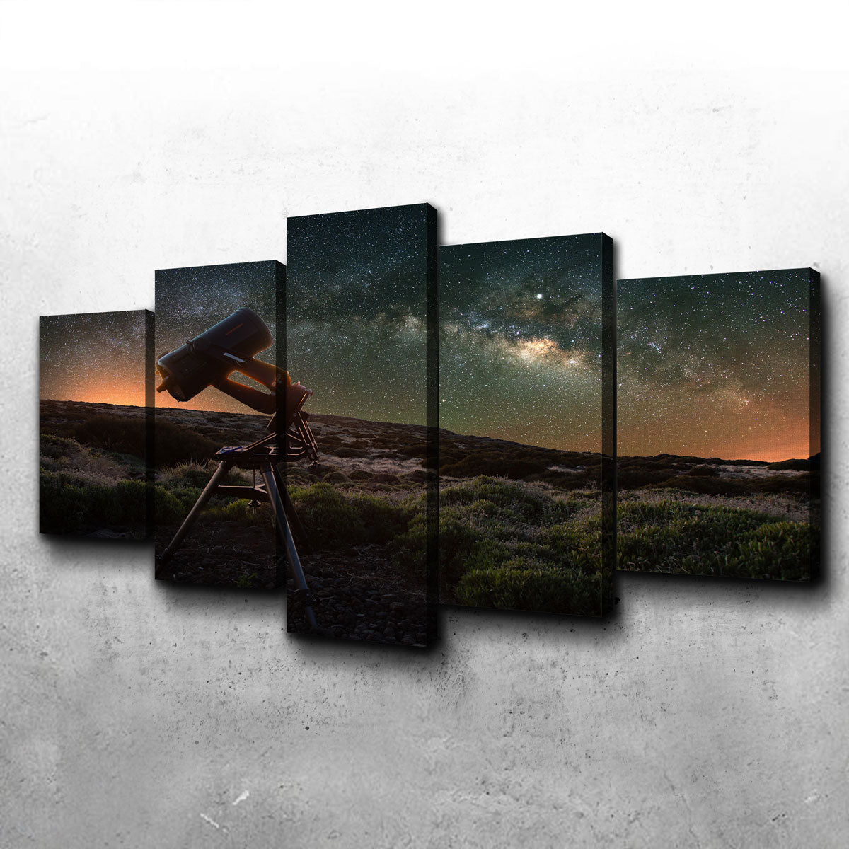 Stargazer Wall Art