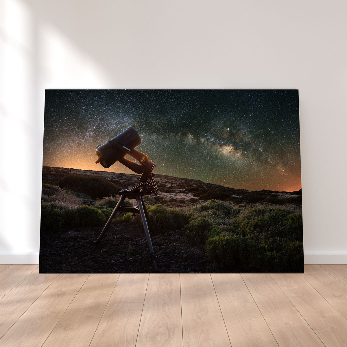 Stargazer Wall Art