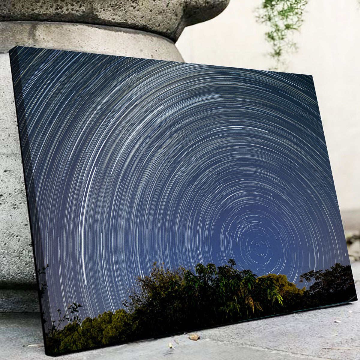 Startrail Polo Sul Celeste Wall Art