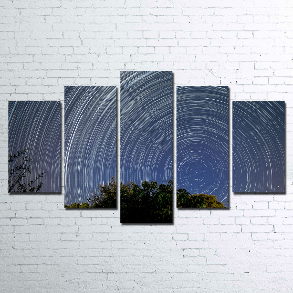 Startrail Polo Sul Celeste Wall Art
