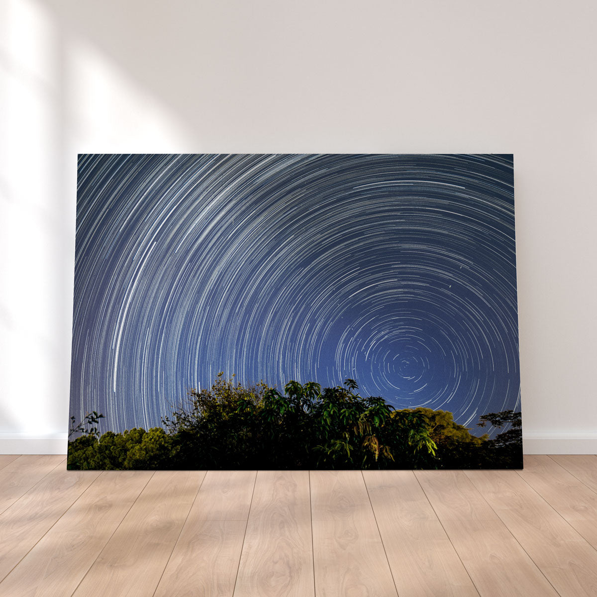 Startrail Polo Sul Celeste Wall Art