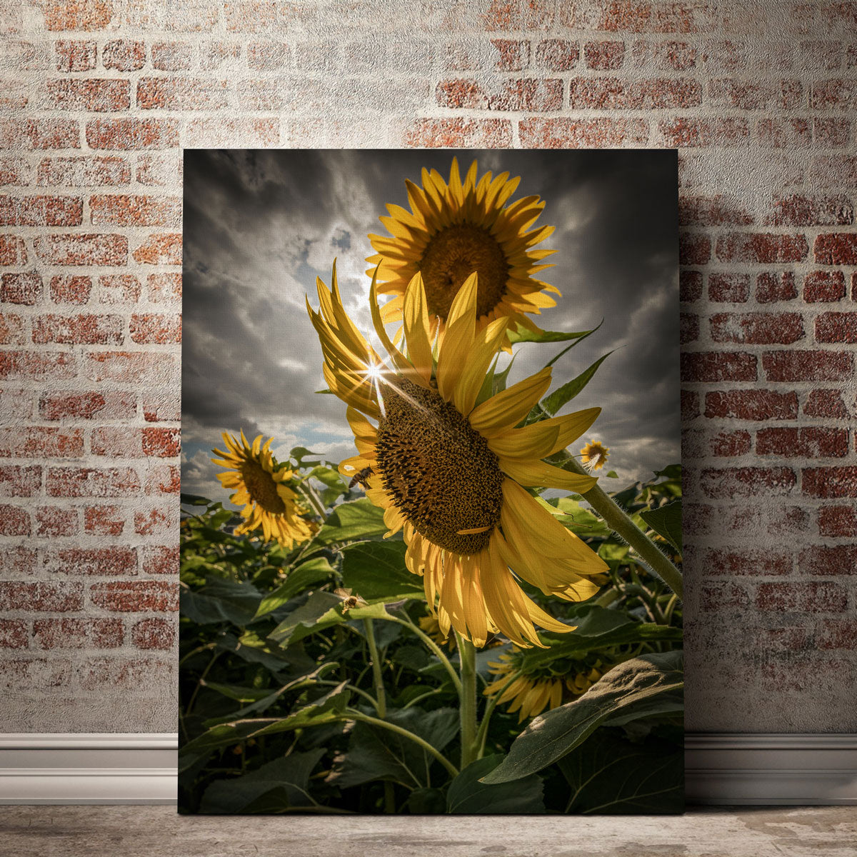 Cloudy Sunflowers Wall Art