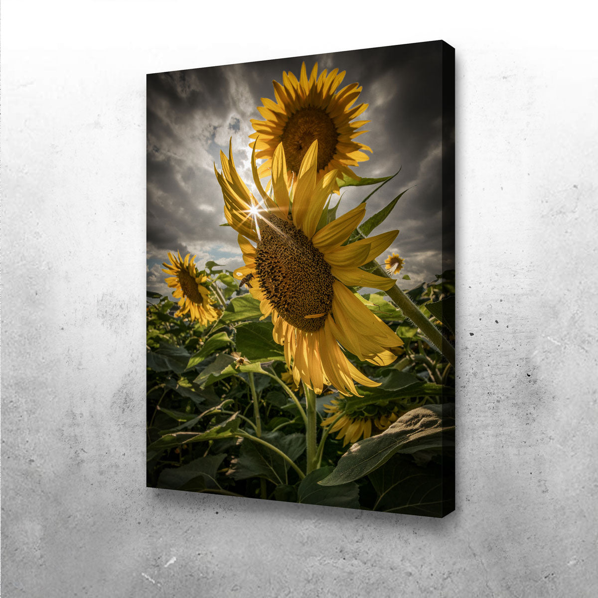 Cloudy Sunflowers Wall Art