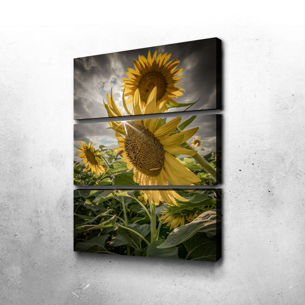 Cloudy Sunflowers Wall Art