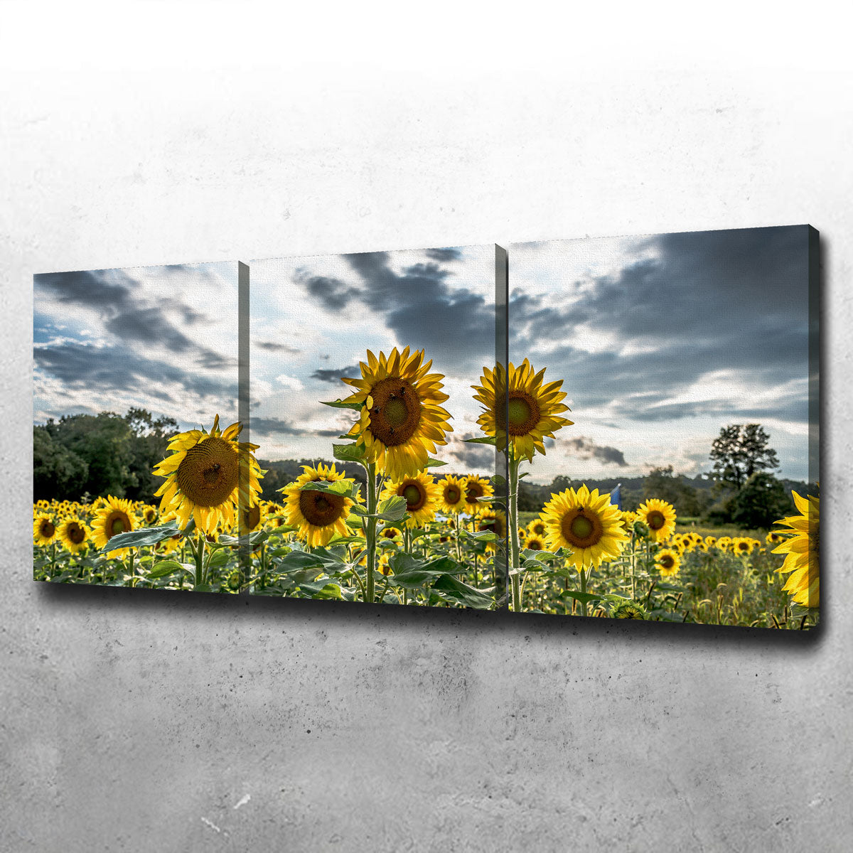 Sunflowers Canvas Set