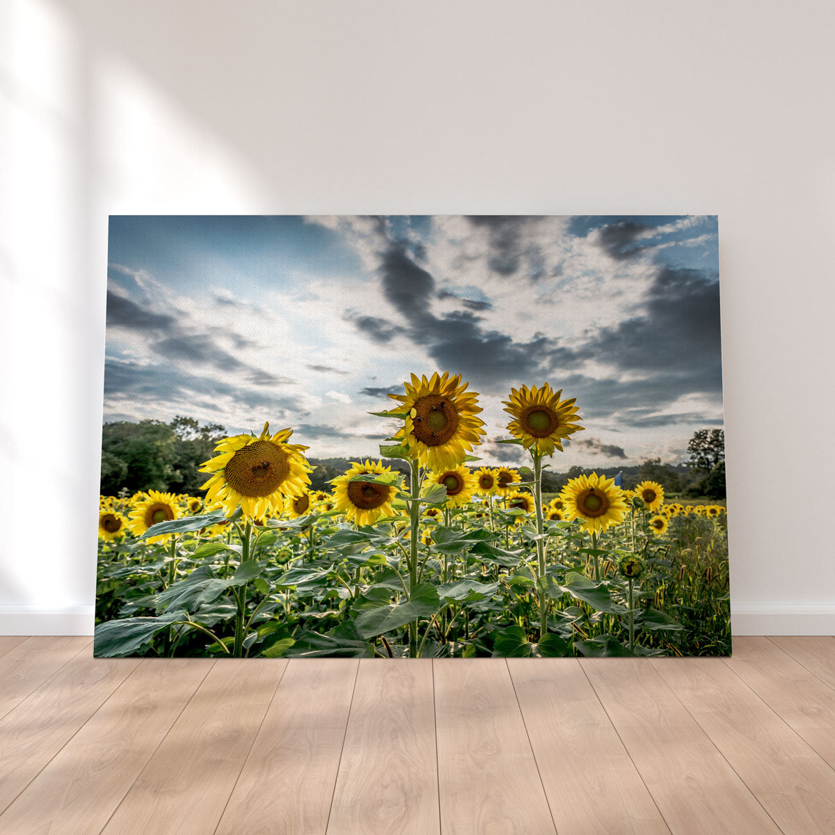 Sunflowers Canvas Set