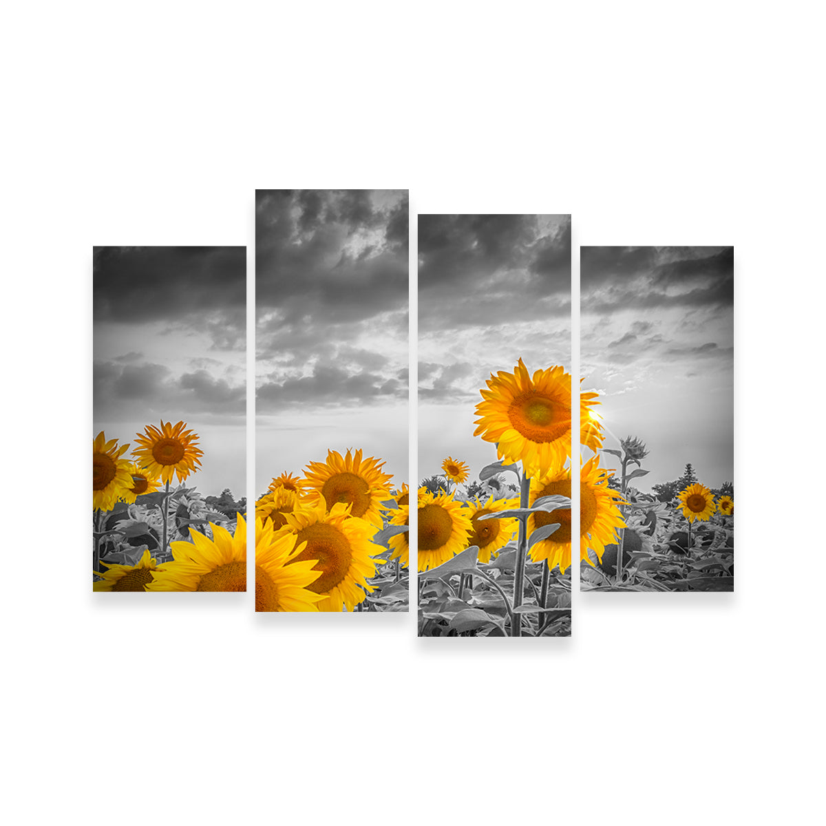 Sunflowers in the Evening Wall Art