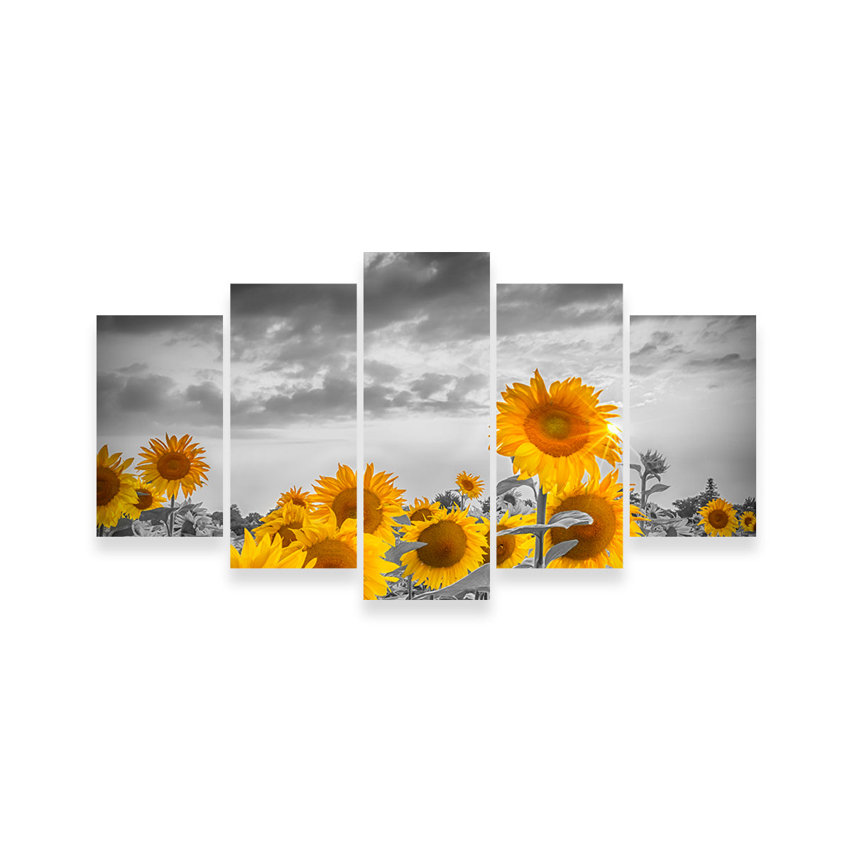 Sunflowers in the Evening Wall Art