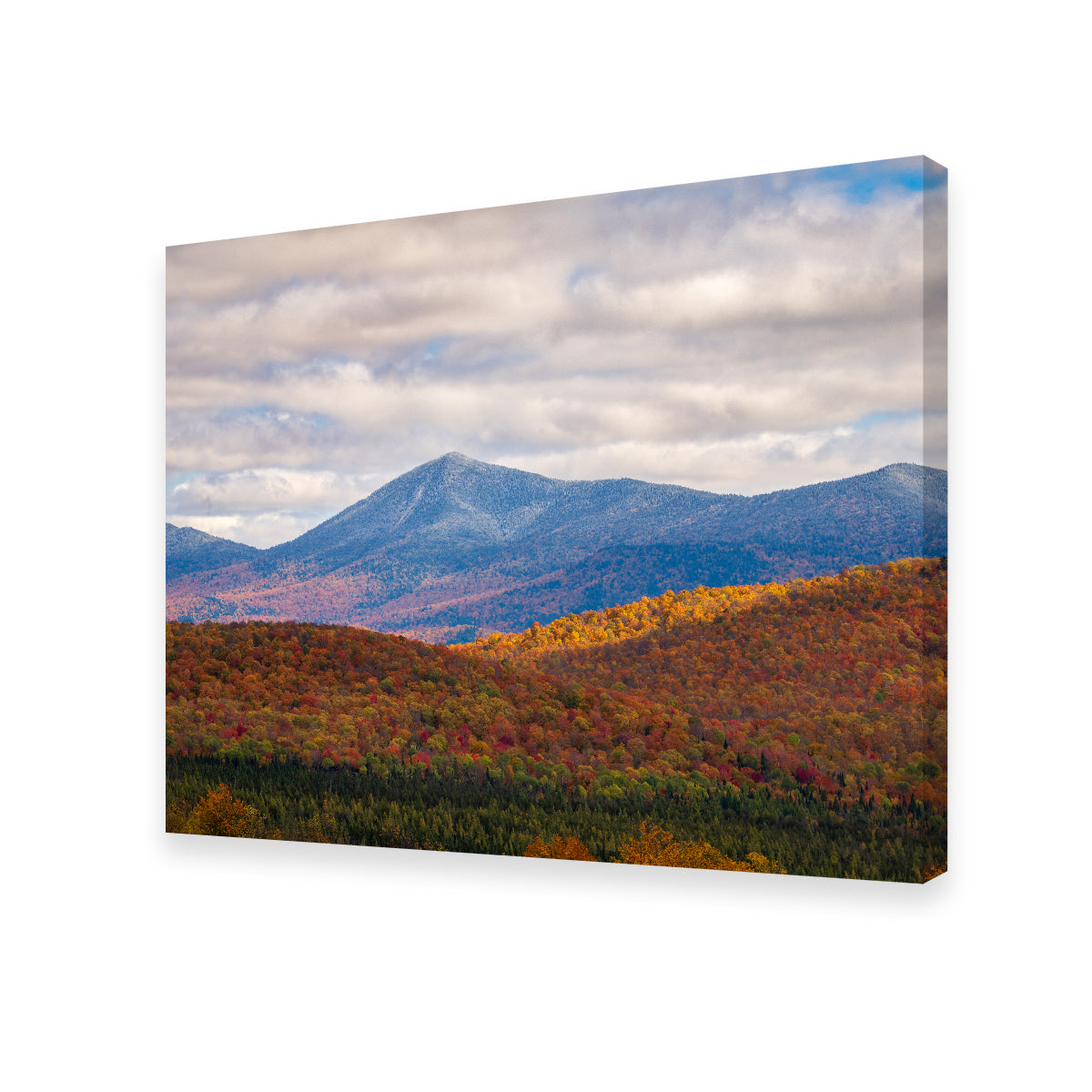 Tease of Winter Wall Art