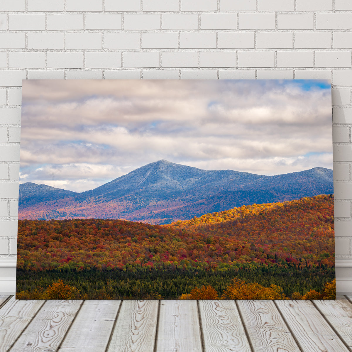 Tease of Winter Wall Art
