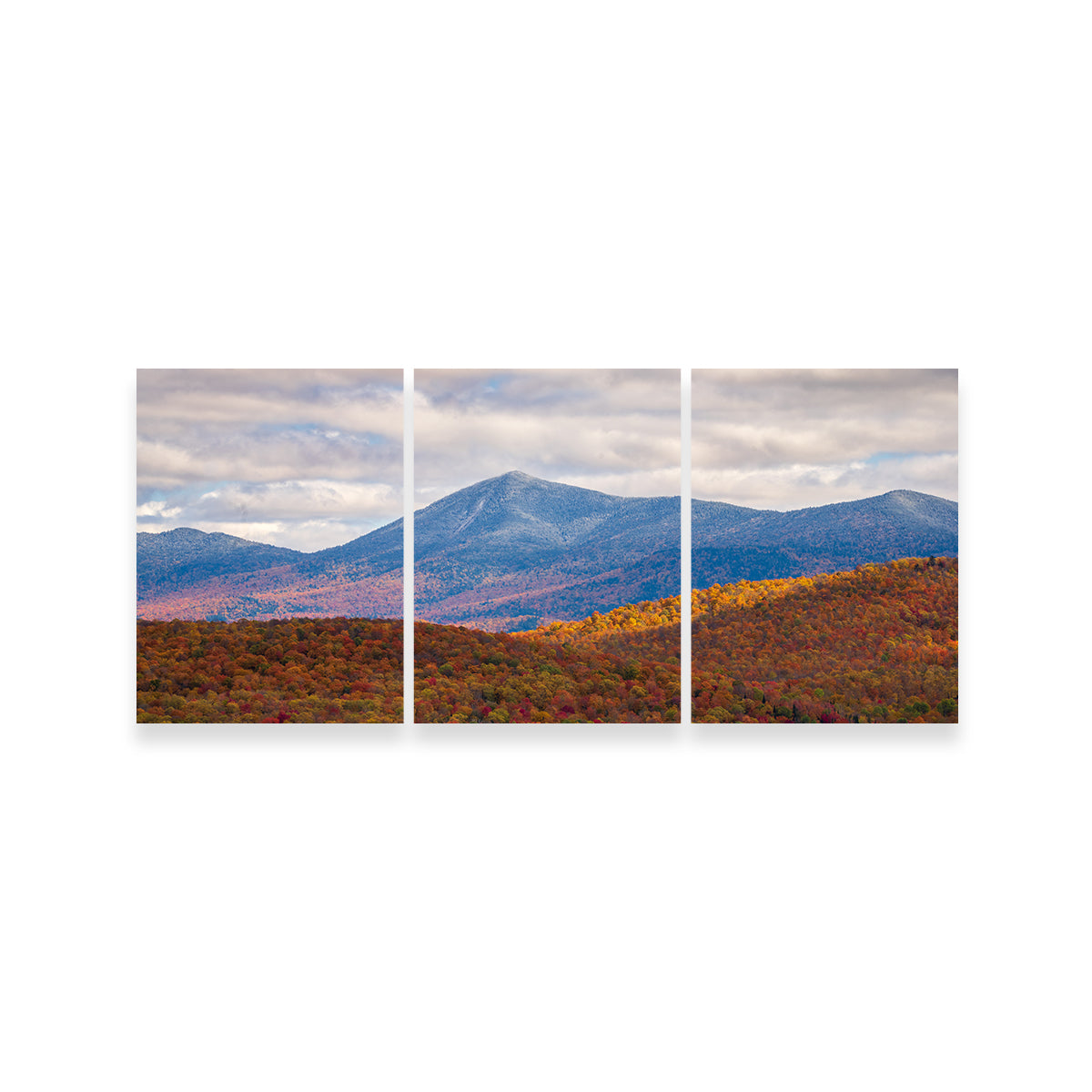 Tease of Winter Wall Art