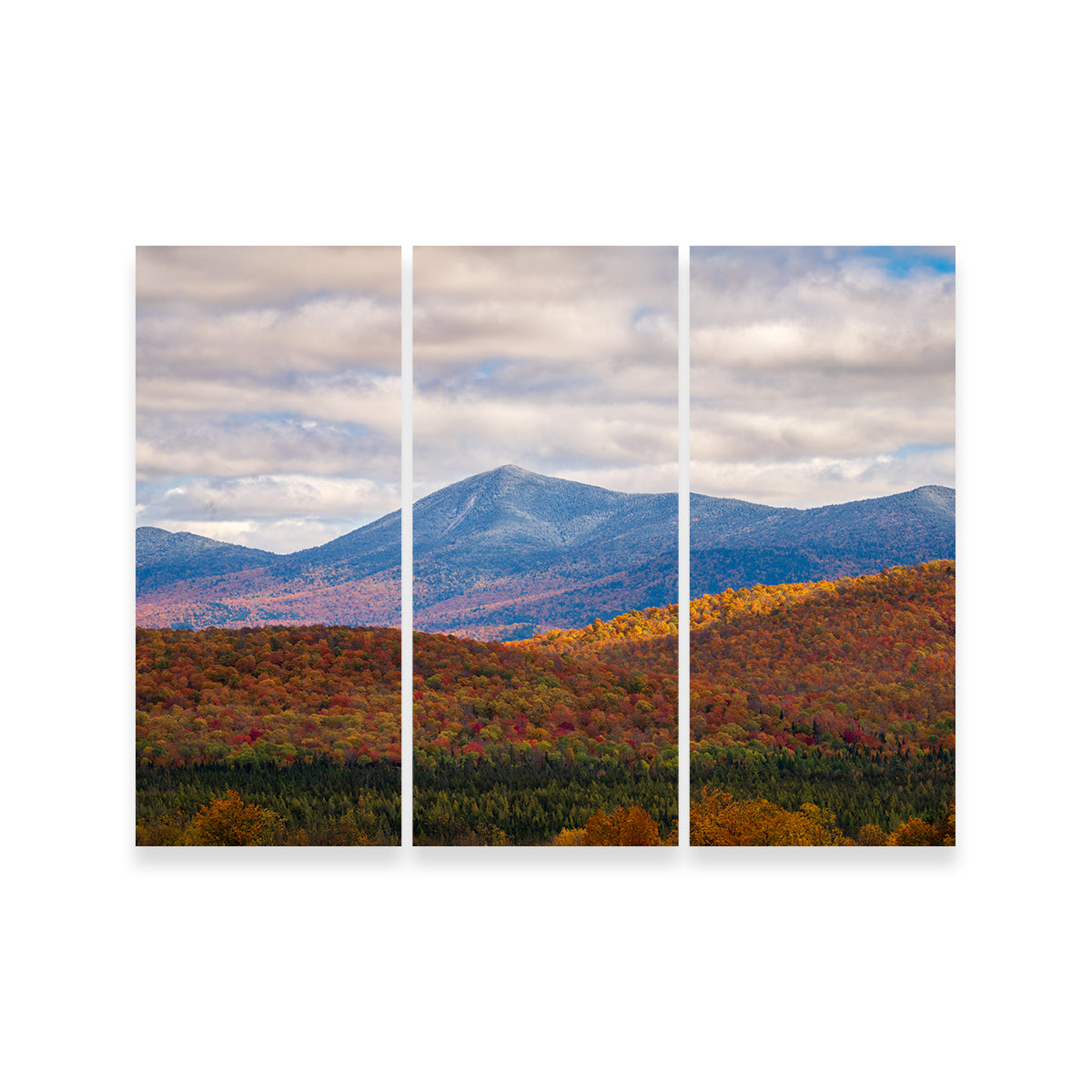 Tease of Winter Wall Art