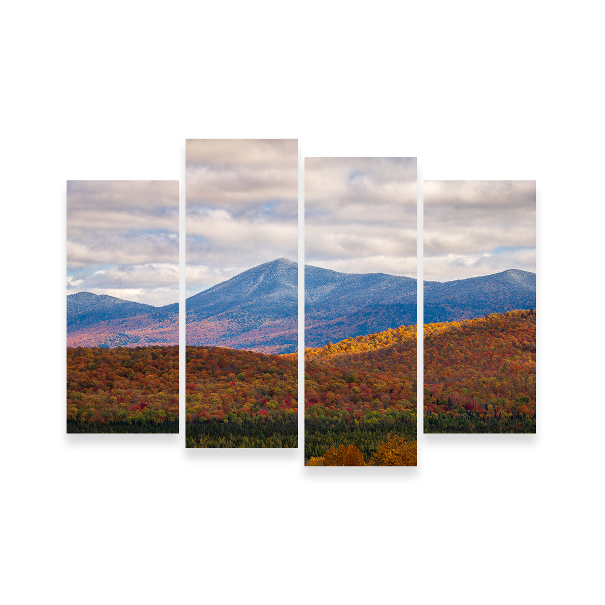 Tease of Winter Wall Art